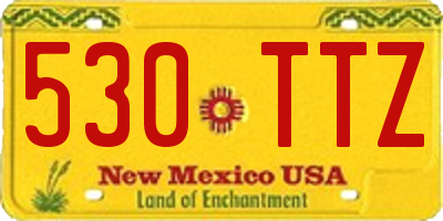 NM license plate 530TTZ