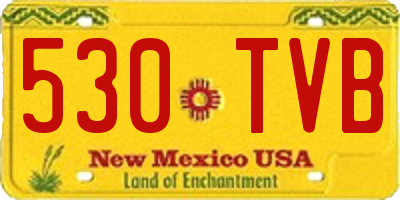 NM license plate 530TVB