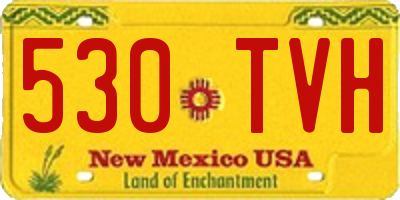 NM license plate 530TVH