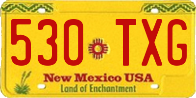 NM license plate 530TXG