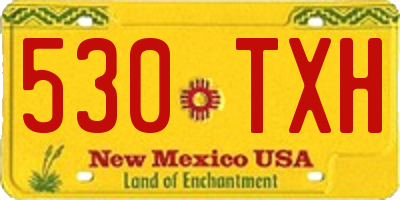 NM license plate 530TXH