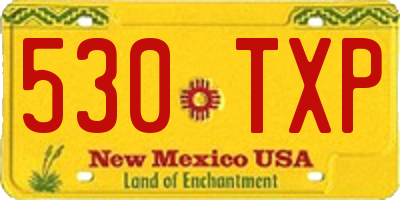 NM license plate 530TXP