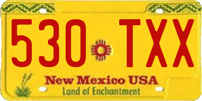 NM license plate 530TXX