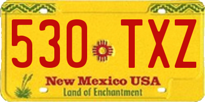NM license plate 530TXZ