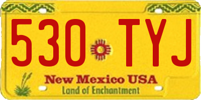 NM license plate 530TYJ