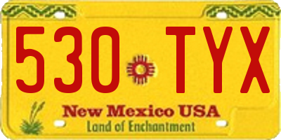 NM license plate 530TYX