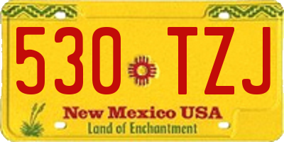 NM license plate 530TZJ