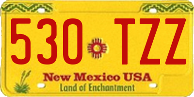 NM license plate 530TZZ