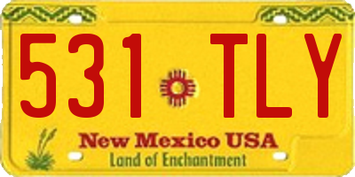 NM license plate 531TLY