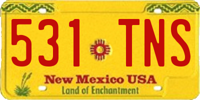 NM license plate 531TNS