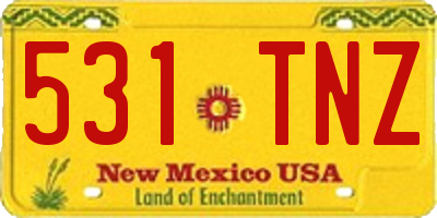 NM license plate 531TNZ