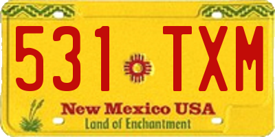 NM license plate 531TXM