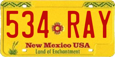 NM license plate 534RAY