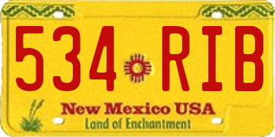 NM license plate 534RIB