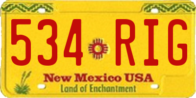 NM license plate 534RIG