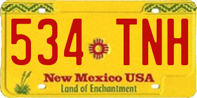 NM license plate 534TNH