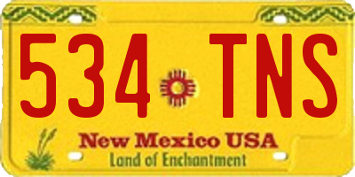 NM license plate 534TNS