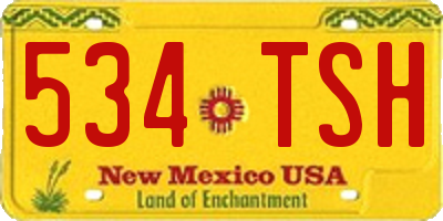 NM license plate 534TSH
