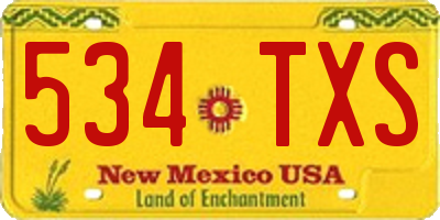 NM license plate 534TXS