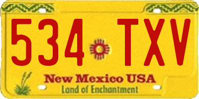 NM license plate 534TXV
