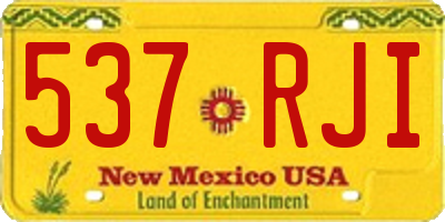 NM license plate 537RJI
