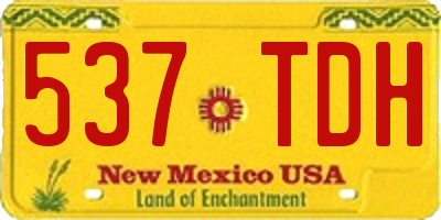 NM license plate 537TDH