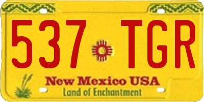 NM license plate 537TGR