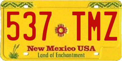 NM license plate 537TMZ