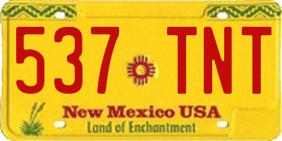 NM license plate 537TNT