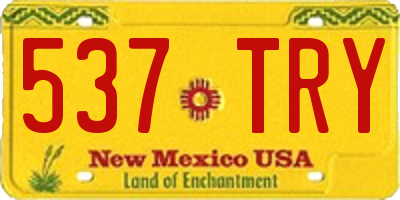 NM license plate 537TRY