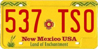 NM license plate 537TSO