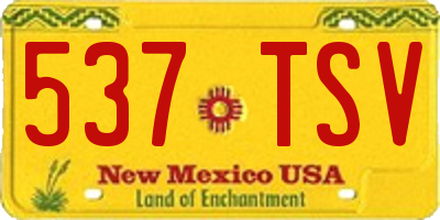 NM license plate 537TSV
