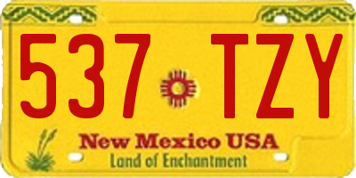 NM license plate 537TZY