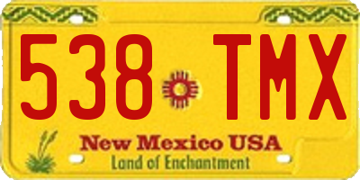 NM license plate 538TMX