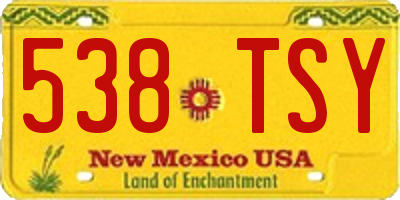 NM license plate 538TSY