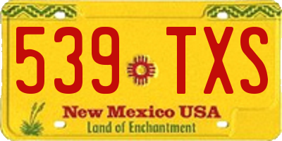 NM license plate 539TXS