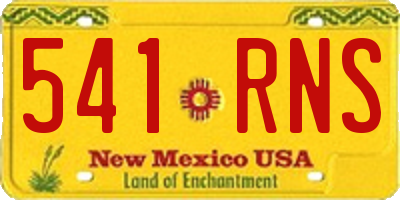 NM license plate 541RNS