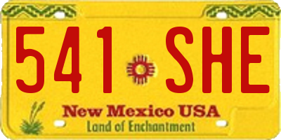NM license plate 541SHE