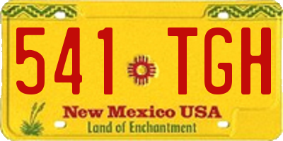 NM license plate 541TGH