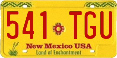 NM license plate 541TGU