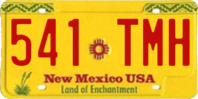 NM license plate 541TMH