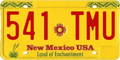 NM license plate 541TMU
