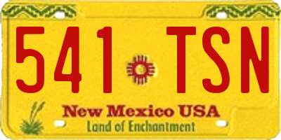 NM license plate 541TSN