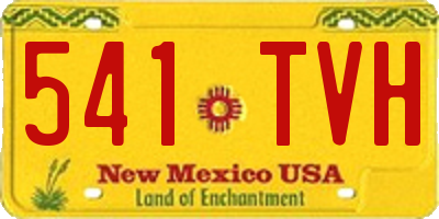 NM license plate 541TVH