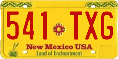 NM license plate 541TXG