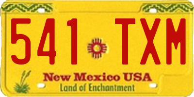 NM license plate 541TXM