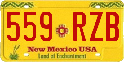 NM license plate 559RZB