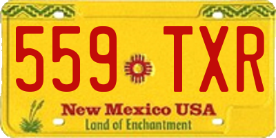 NM license plate 559TXR