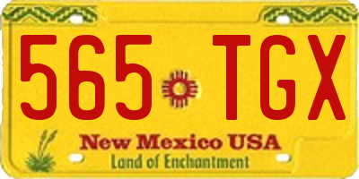 NM license plate 565TGX