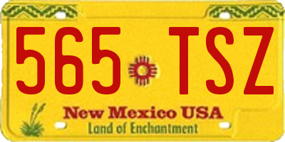 NM license plate 565TSZ